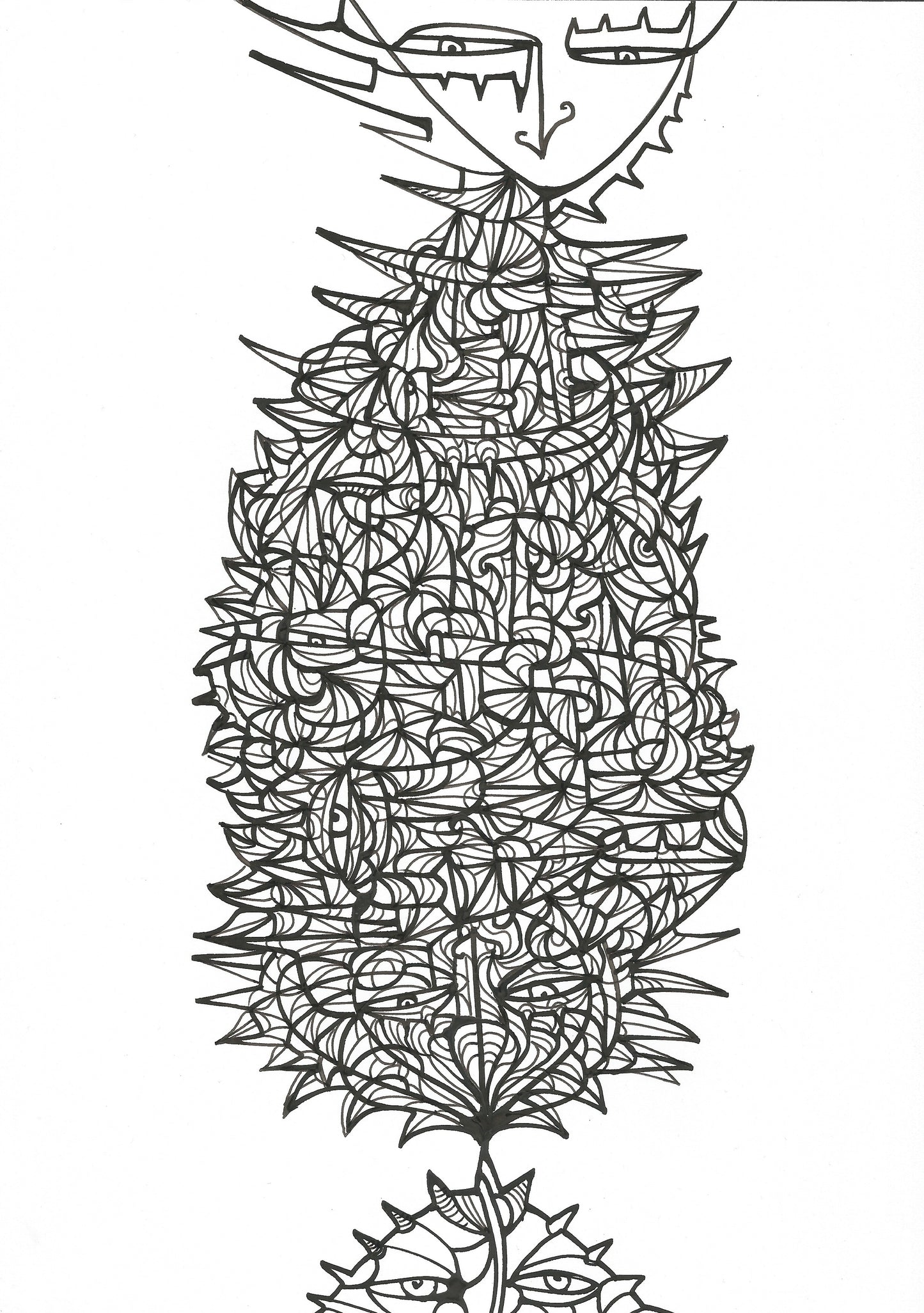 Kokon