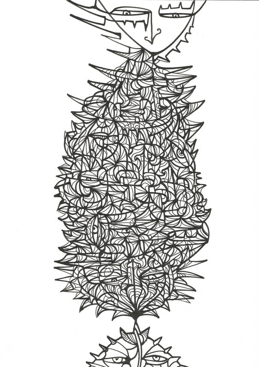 Kokon