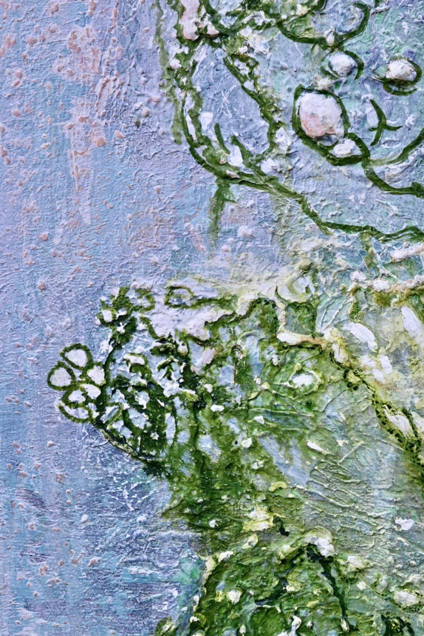 Wasserpflanzen