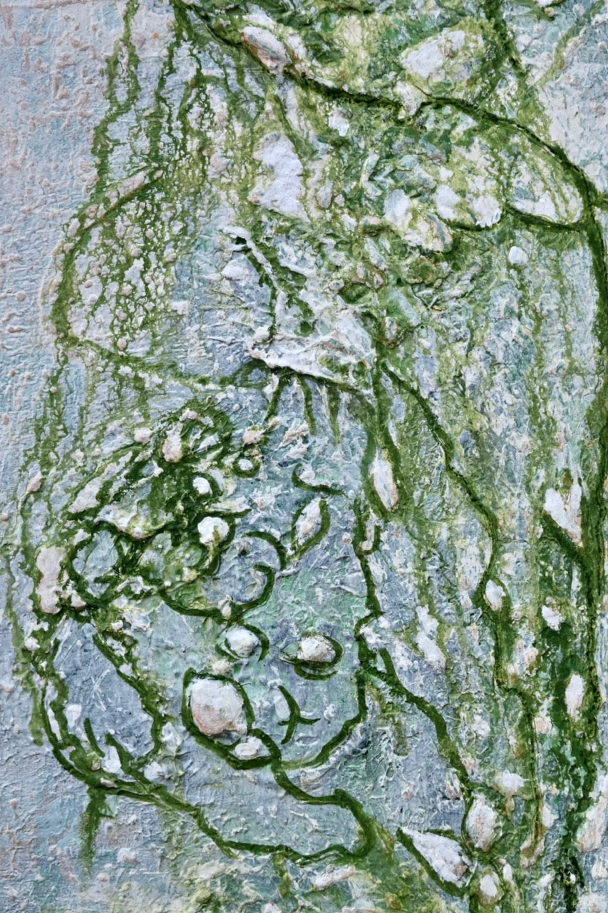 Wasserpflanzen