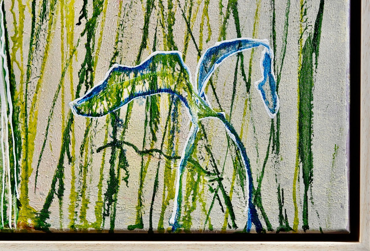 Blumenwiese