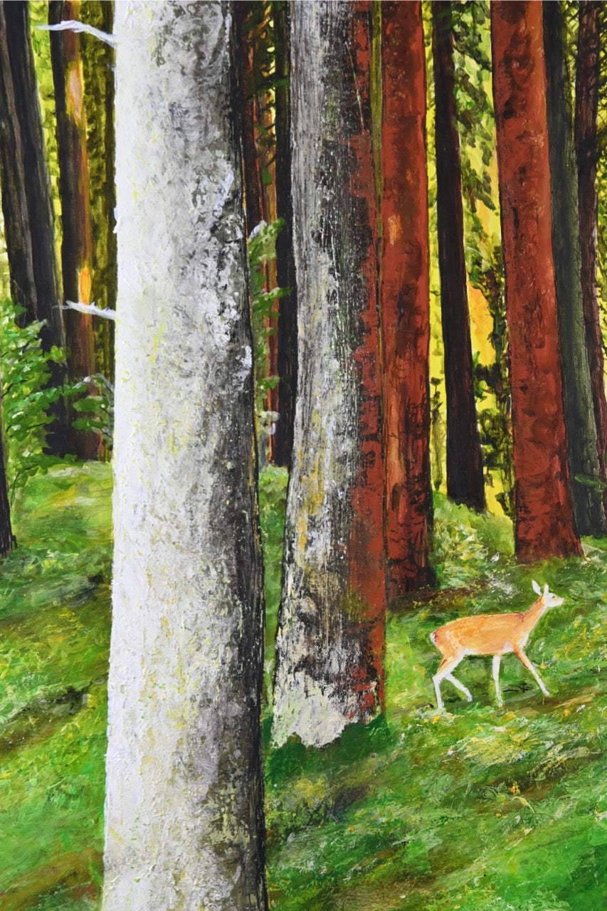 Abendstimmung im Wald