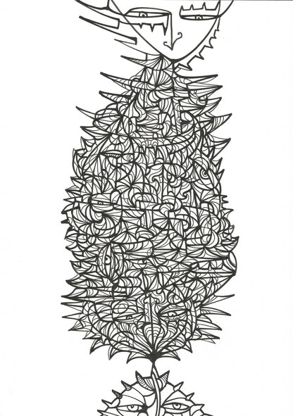 Kokon
