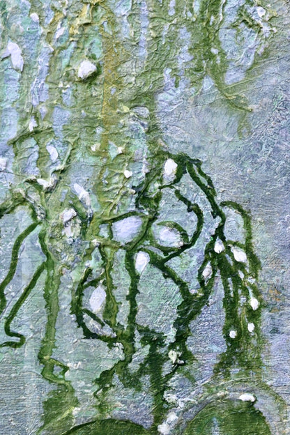 Wasserpflanzen
