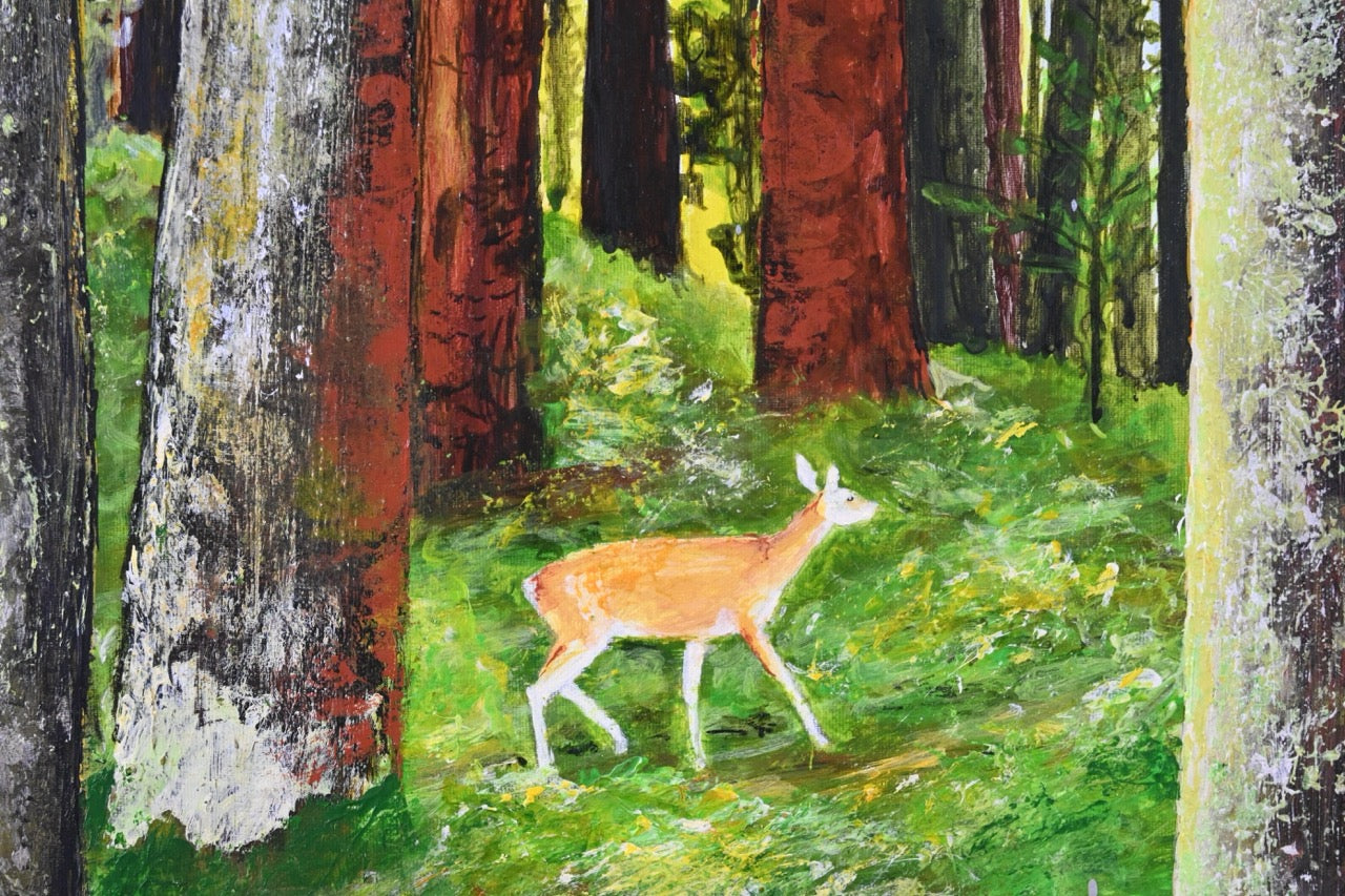 Abendstimmung im Wald