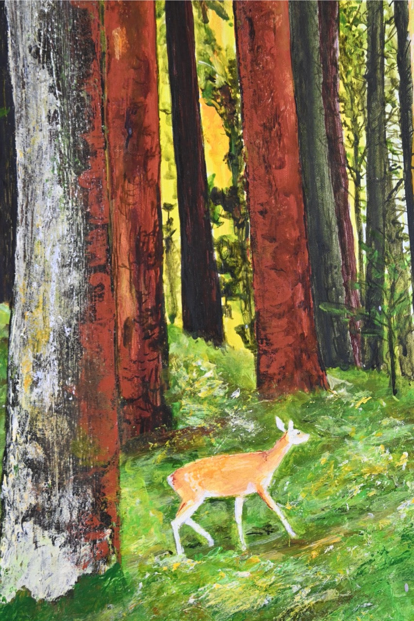 Abendstimmung im Wald