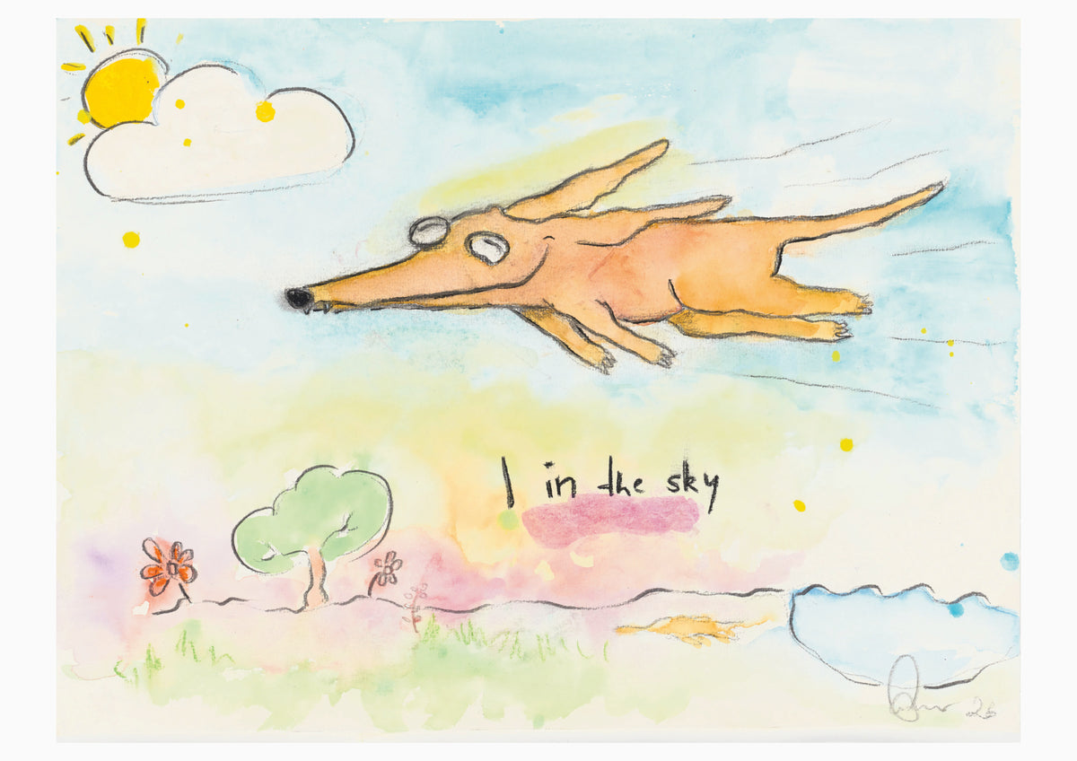 I in the sky (A2 Poster)