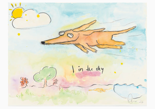 I in the sky (A2 Poster)